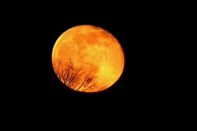 April Full Moon <i>- by Cathy Contant</i>