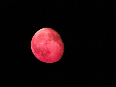 Red Moon July 4th <i>- by Cathy Contant</i>